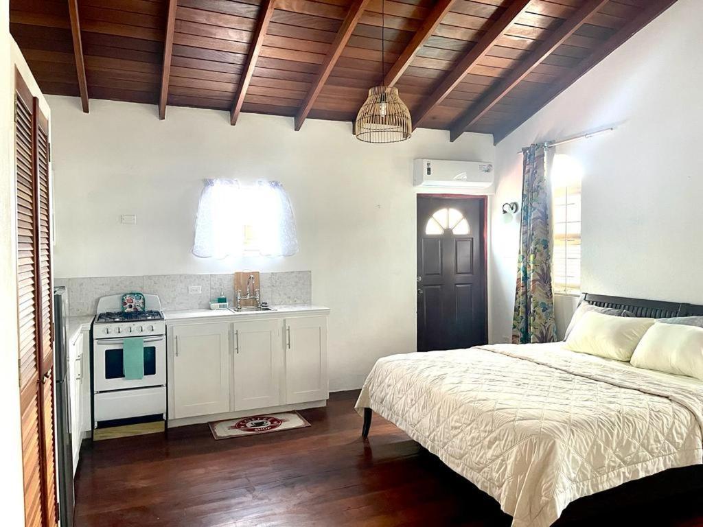 Blr Beach Villas Крайст-Черч Экстерьер фото